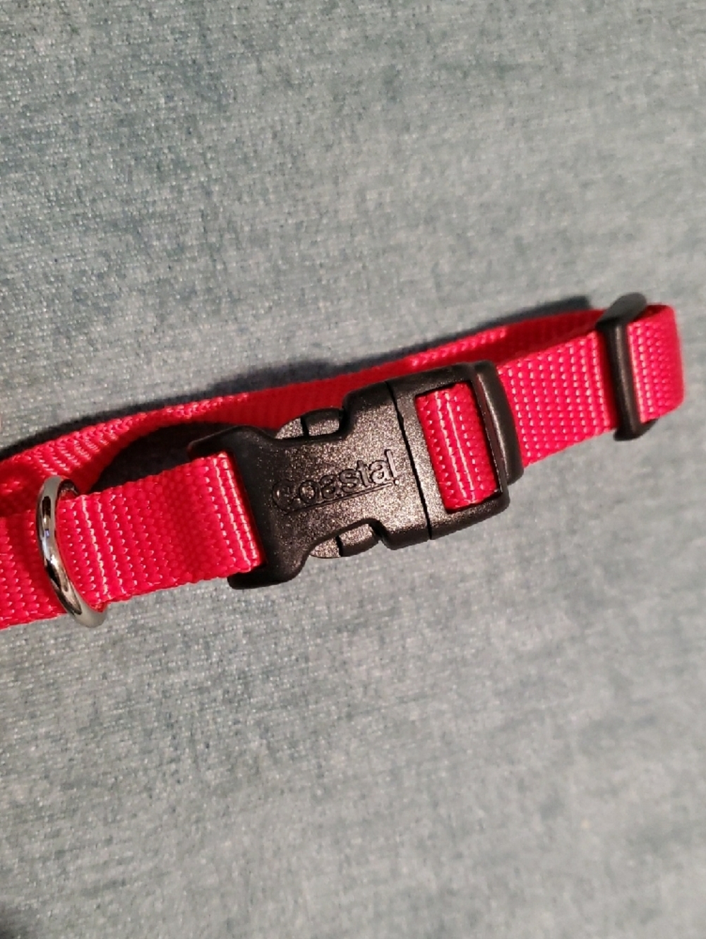 NEW Red Adjustable Dog Collar with Quick-Release Buckle - Picture 3 of 3
